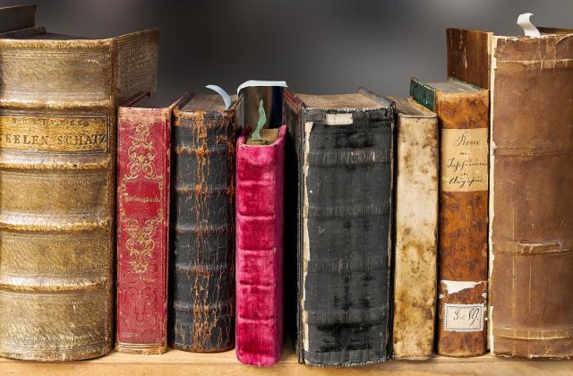 Historische Buchbestände Das Bild zeigt ein Regal mit historischen Büchern.
